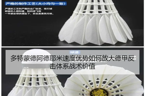 duo-te-meng-de-a-de-ye-mi-su-du-you-shi-ru-he-fang-da-de-jia-fan-ji-ti-xi-zhan-shu-jia-zhi-2-977.jpg