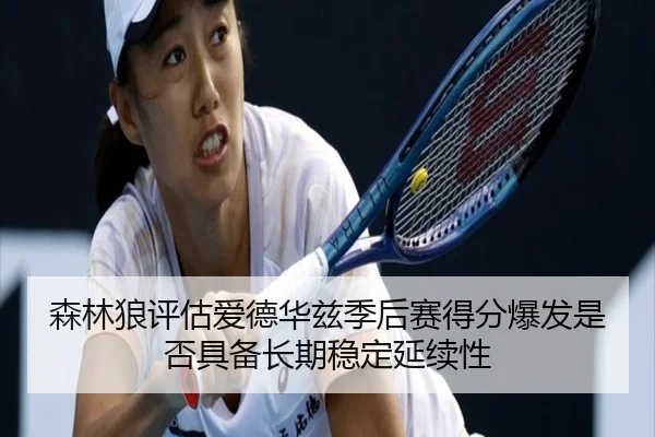 森林狼评估爱德华兹季后赛得分爆发是否具备长期稳定延续性