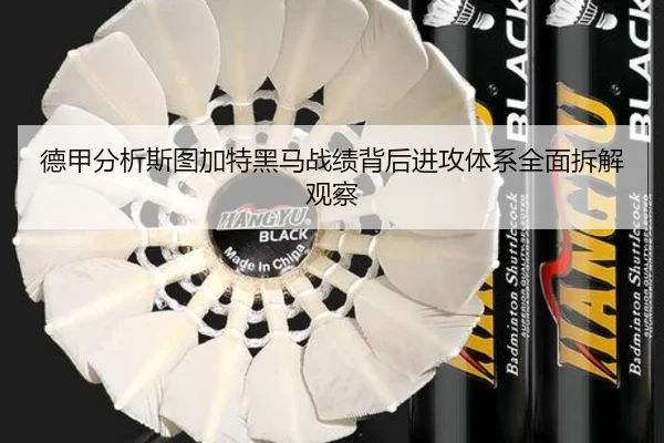 德甲分析斯图加特黑马战绩背后进攻体系全面拆解观察